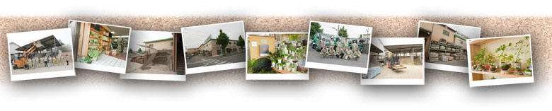 桂建材店